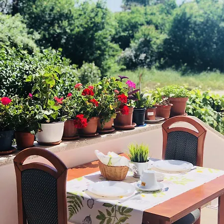 Gæstehus Timona Confort Eforie Nord