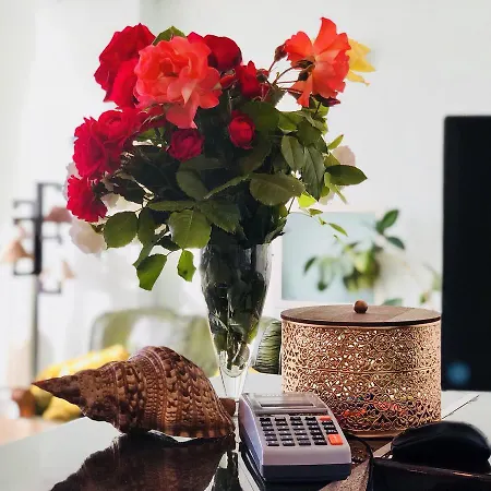 Timona Confort 3* Eforie Nord