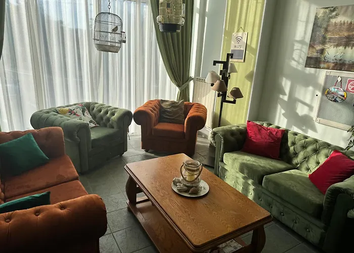 Timona Confort エフォリエ・ノルド