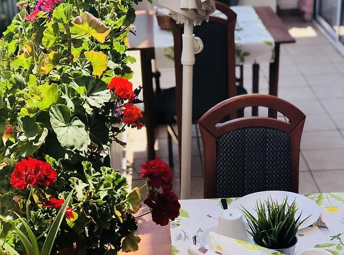 ゲストハウス Timona Confort