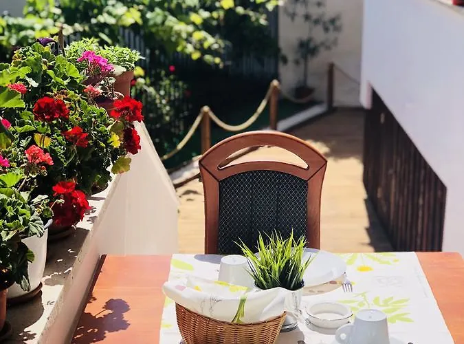 ゲストハウス Timona Confort エフォリエ・ノルド