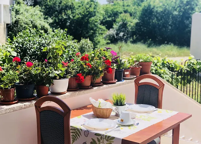 ゲストハウス Timona Confort エフォリエ・ノルド