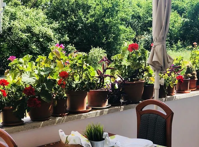 Timona Confort ゲストハウス 3*