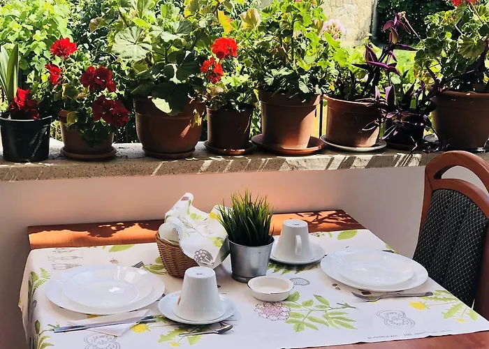 ゲストハウス Timona Confort