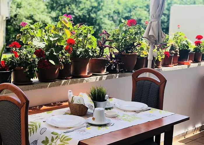 ゲストハウス Timona Confort 3*