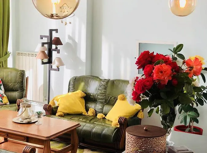 Timona Confort エフォリエ・ノルド