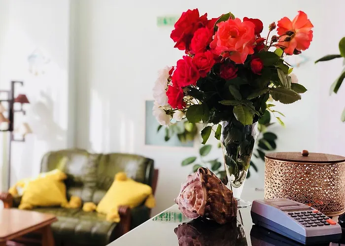 Timona Confort ゲストハウス エフォリエ・ノルド