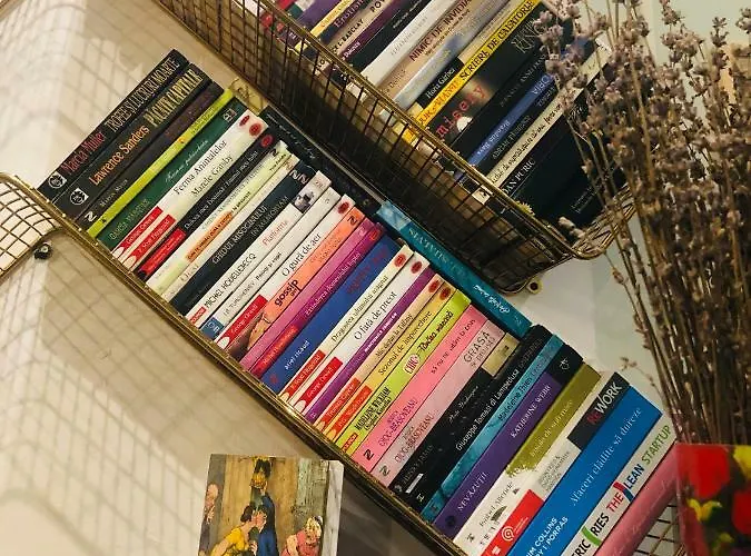 Timona Confort エフォリエ・ノルド