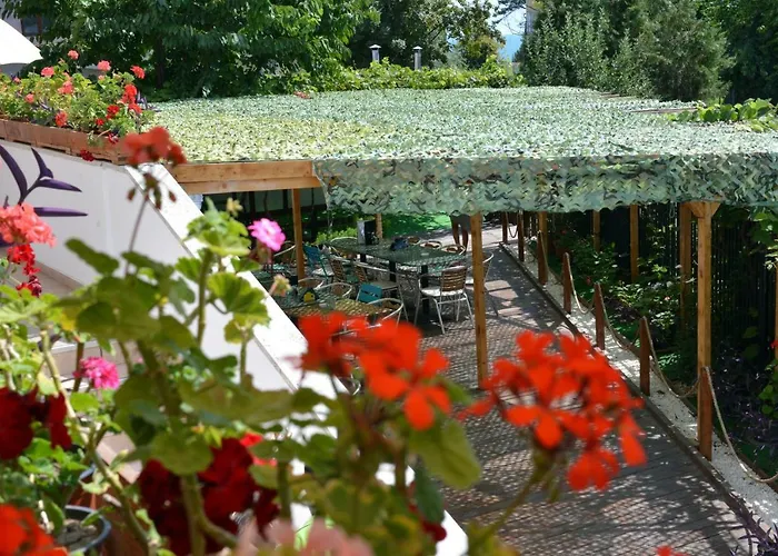 ゲストハウス Timona Confort