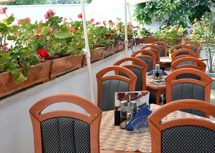 ゲストハウス Timona Confort