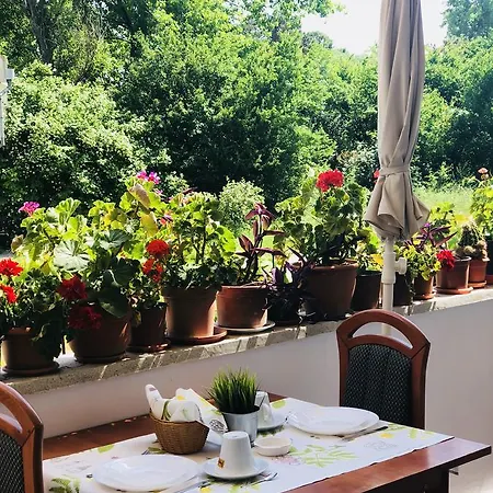 Timona Confort Vendégház 3*