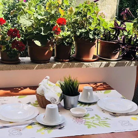 Vendégház Timona Confort