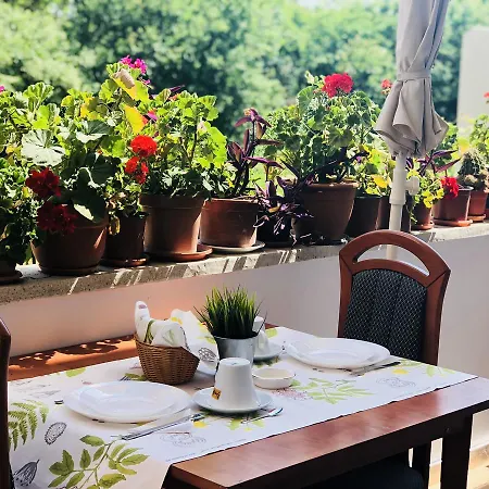 Vendégház Timona Confort 3*