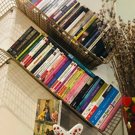 Timona Confort Észak-Eforie